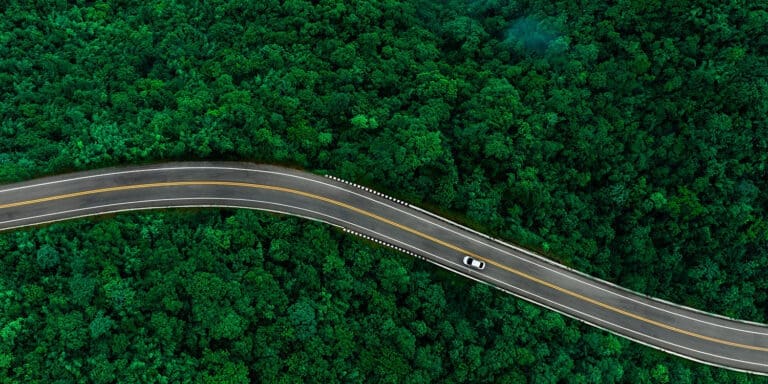 car driving along winding road surrounded by trees